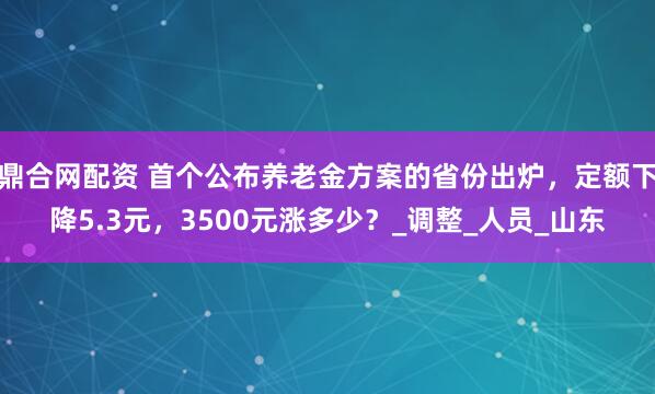 鼎合网配资 首个公布养老金方案的省份出炉，定额下降5.3元，3500元涨多少？_调整_人员_山东