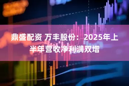 鼎盛配资 万丰股份：2025年上半年营收净利润双增