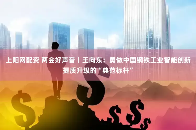 上阳网配资 两会好声音丨王向东：勇做中国钢铁工业智能创新提质升级的“典范标杆”
